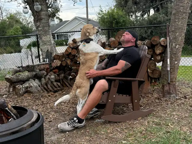 A tan dog up on its hind legs greeting its owner in a chair by the fire pit