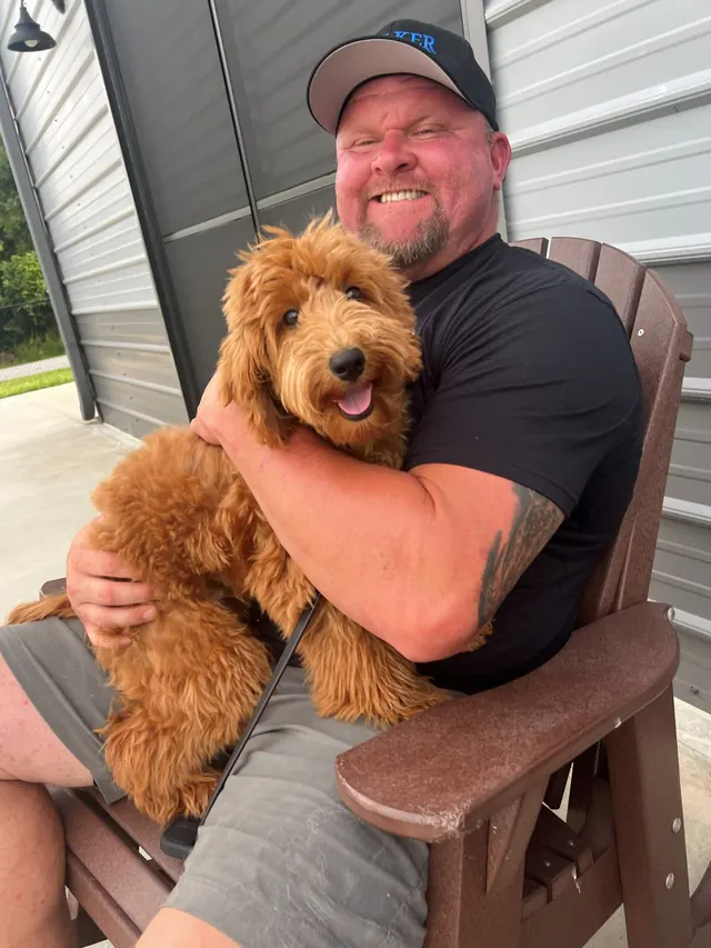 Chad Walker holding a full-grown red goldendoodle on his lap outside the training building